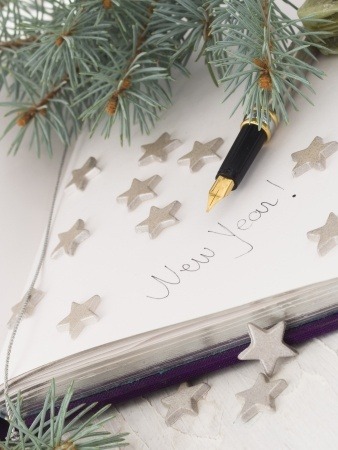 New Year journal
