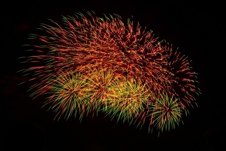 Marigold firework burst