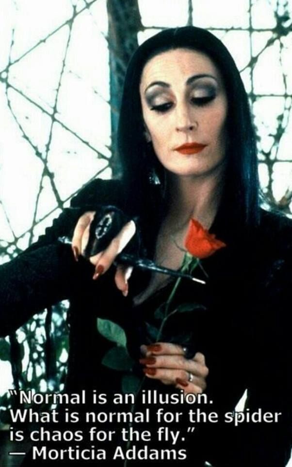 morticia addams normal is an illusion