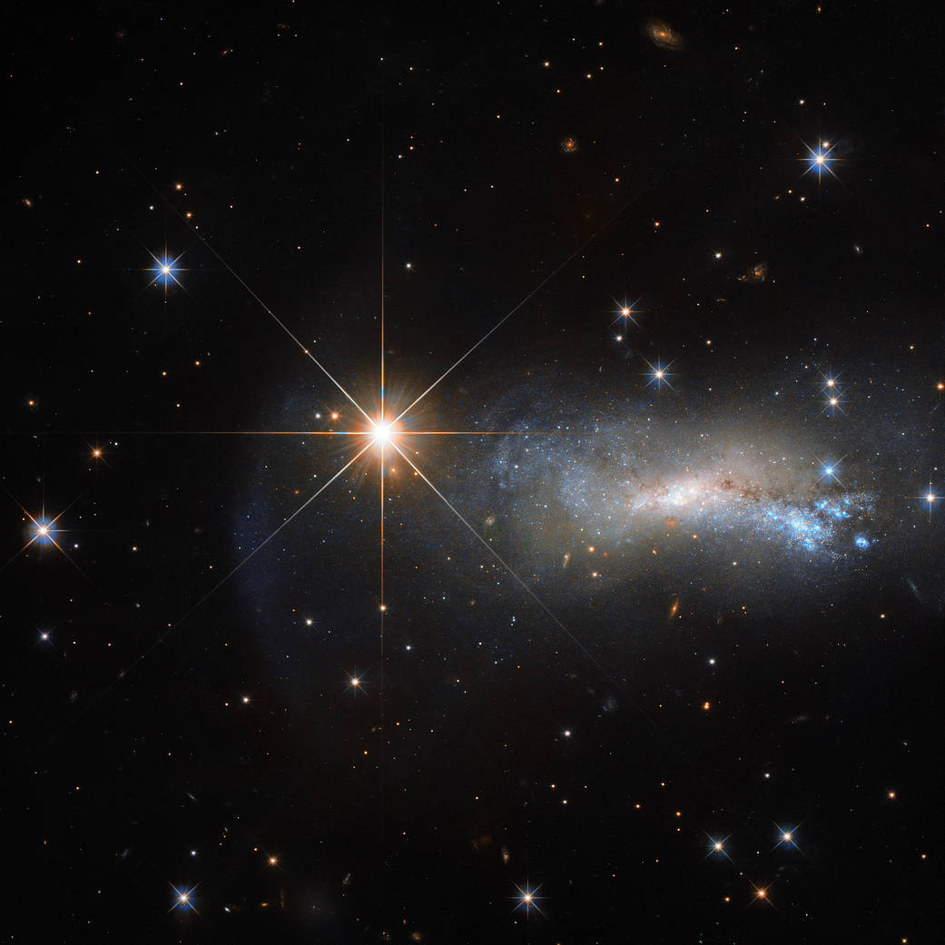 Thank the Stars